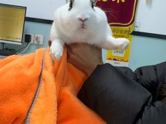 -嘉馨宠物医院·CT影像转诊·心脏科·犬猫全科诊疗中心(下沙大学城院区)