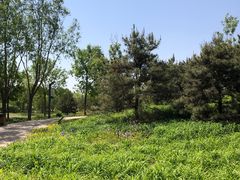 -东郊湿地公园