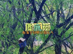 -北京麋鹿生态实验中心