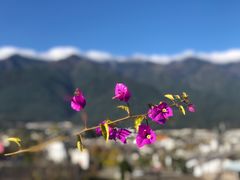 -唐咖精品咖啡(大理古城手冲店)