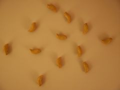 -三清山希尔顿度假酒店
