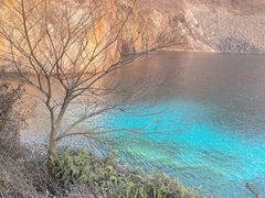 -树山生态村