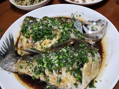 -全乐鱼馆·淳牌有机鱼直营店