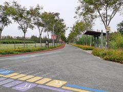 -上海长兴岛郊野公园