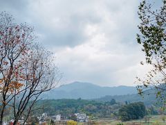 -塔川景区