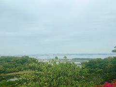 -广州莲花山旅游区