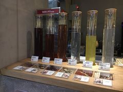 -1828王老吉·草本新茶(珠江新城地铁站店)
