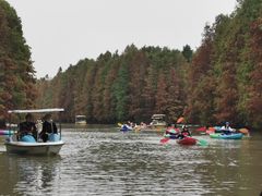 -上海海湾国家森林公园