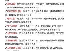 -日照灯塔风景区