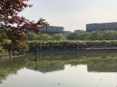 -嘉定紫藤园