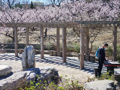 -北京凤凰岭