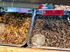 -昆虫窝子·特色云南菜(拓东路总店)
