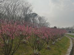-云水涧亲子度假酒店