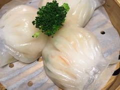 -新兴·金羊座·粤菜点心(乐峰店)