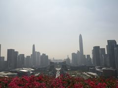 -莲花山公园