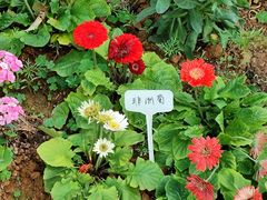 -东莞植物园