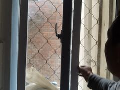 -伟瑞门窗换纱窗窗户维修玻璃维修(海淀店)