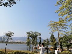 -飞来湖湿地公园
