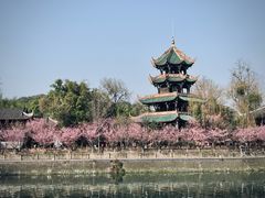 -望江楼公园