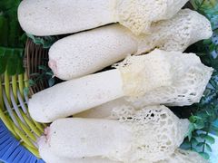 -佳缘野生菌食府