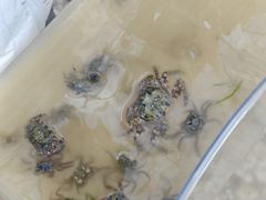 -东疆建设开发纪念公园