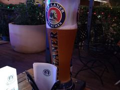 -Paulaner·德国帕拉娜自酿啤酒餐厅(海上世界店)