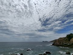 -广东惠东海龟国家级自然保护区