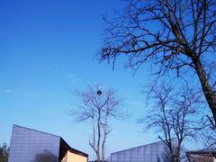 -田园东方蜜桃村的田野营地