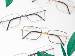 -大视光学•LINDBERG林德伯格•全球手工眼镜集合店(王府井店)