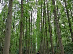 -上海怡沁园度假酒店