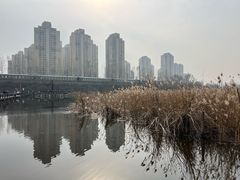-前关湿地公园