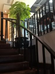 -苑苑发型设计
