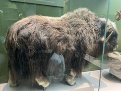 -国家自然博物馆