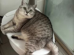 -李先生的首尔小馆(松江启源广场店)