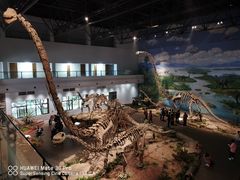 -自贡恐龙博物馆