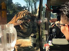 -西安秦岭野生动物园