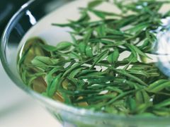 -tea'stone (万象天地店)