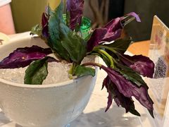 -椰子不语 椰子鸡火锅(淮海店)