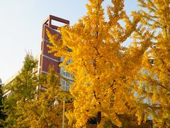 -中国计量大学(西校区)