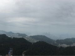 -大金鹰园