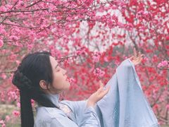 -秀丽东方