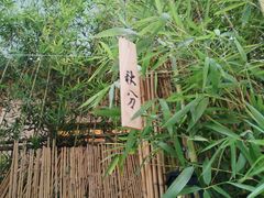 -天水蔬食料理(树德之光店)