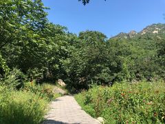-大岭沟猕猴桃谷风景区
