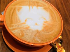 -猫色咖啡·猫咖
