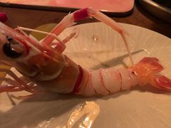 -斯普汇生蚝牛排馆(中骏世界城店)