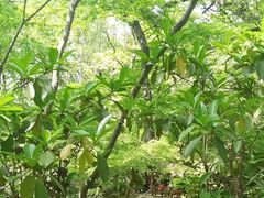 -虞山城墙