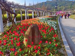 -苏州上方山国家森林公园