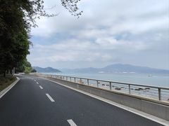 -杨梅坑