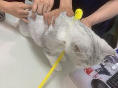 -中农大我爱我爱动物医院·核磁CT·猫病·24小时夜诊中心(石佛营店)
