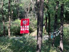 -鲁山国家森林公园